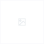 페어리로이드(여)